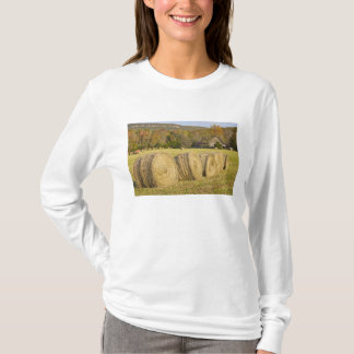 Historische boerderij in de Buffalo National River T-shirt