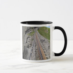 Historische Carrick-a-rede touwbrug, Noord- Mok
