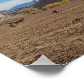 Historische Dugout Ranch, Utah Poster (Hoek)