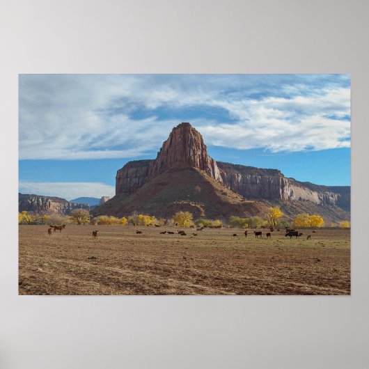 Historische Dugout Ranch, Utah Poster (Voorkant)