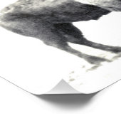 Historische foto van American Bison Afdruk (Hoek)