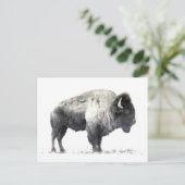 Historische foto van American Bison Briefkaart (Staand voorkant)