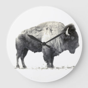 Historische foto van American Bison Grote Klok