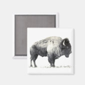 Historische foto van American Bison Magneet (Voorkant / Achterkant)