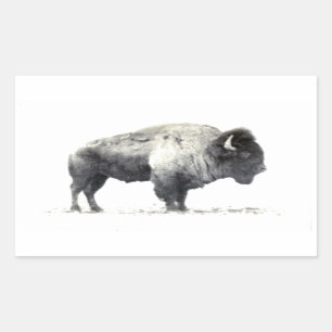 Historische foto van American Bison Rechthoekige Sticker