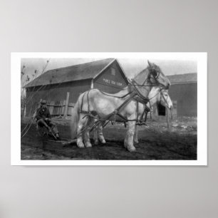 Historische foto van het Boerderij van de Rij van  Poster