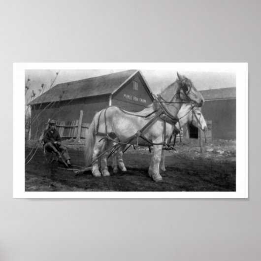 Historische foto van het Boerderij van de Rij van Poster (Voorkant)