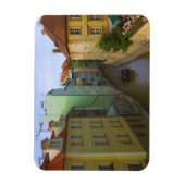 Historische gebouwen met kanaal, Praag, Tsjechisch Magneet (Verticaal)