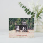 Historische Gold Rush wagen...... Briefkaart (Staand voorkant)