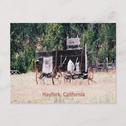 Historische Gold Rush wagen...... Briefkaart (Voorkant)