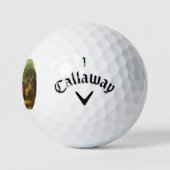 Historische golfballen (Logo)