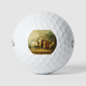 Historische golfballen (Voorkant)