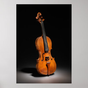 Historische Italiaanse Cello-foto (1560) Poster