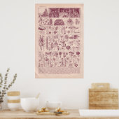  historische paddenstoelen van 1920 poster (Keuken)