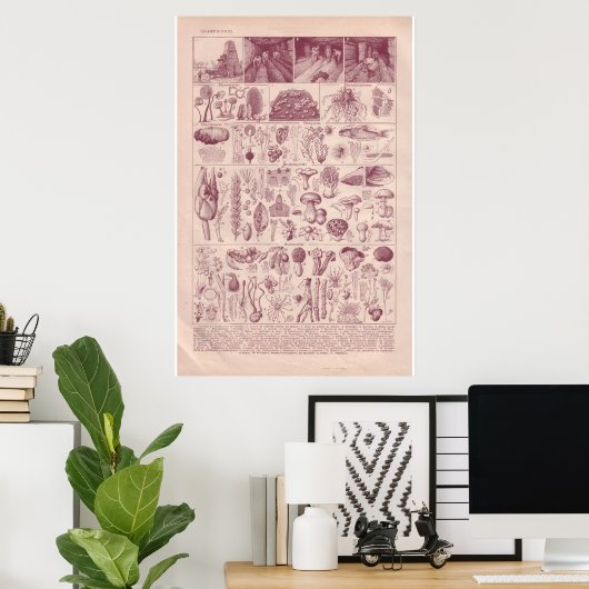  historische paddenstoelen van 1920 poster (Thuiskantoor)