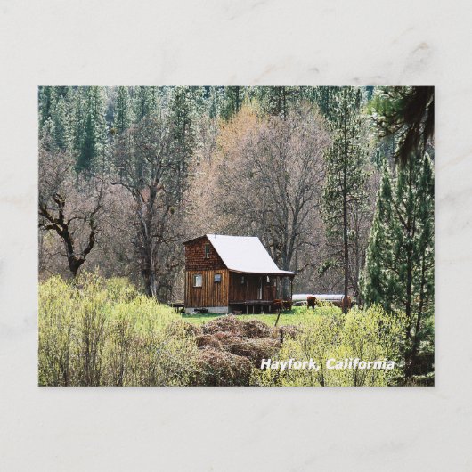 Historische potato Creek Log Cabin..... Briefkaart (Voorkant)