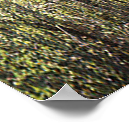 Historische potato Creek Log Cabin..... Poster (Hoek)