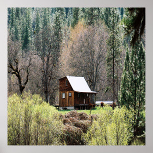 Historische potato Creek Log Cabin..... Poster