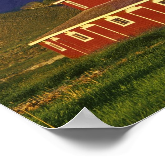 Historische ronde Barn op Twin Bridges Montana Poster (Hoek)