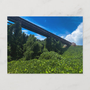 Historische spoorbrug over de Alcovy-rivier Briefkaart