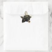 Historische spoorweg ster sticker (Tas)