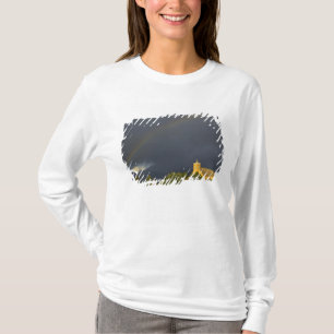 Historische St. Ignatius-missie in St. Ignatius, T-shirt