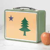 Historische vlag van Maine (1901-1909) (In situ)