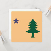 Historische vlag van Maine (1901-1909) Kaart (Voorkant / Achterkant in situ)