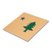 Historische vlag van Maine (1901-1909) Tegeltje (Zijkant)