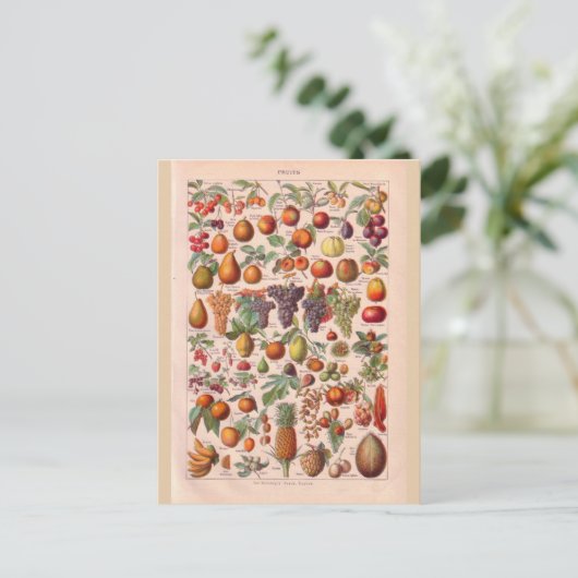  historische vruchten briefkaart (Staand voorkant)