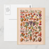  historische vruchten briefkaart (Voorkant / Achterkant)