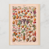  historische vruchten briefkaart (Voorkant)