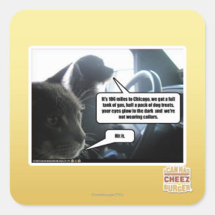 Hit het. vierkante sticker