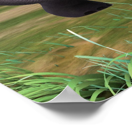 Hita 2 poster (Hoek)