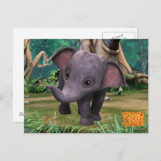 Hita Briefkaart (Voorkant / Achterkant)