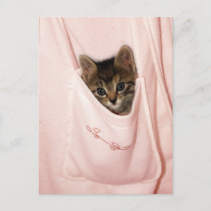 Hitchhiking Briefkaart