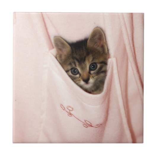 Hitchhiking Tegeltje (Voorkant)