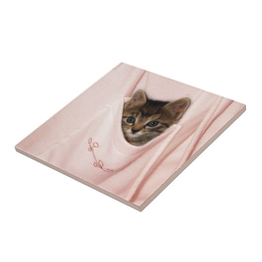 Hitchhiking Tegeltje (Zijkant)