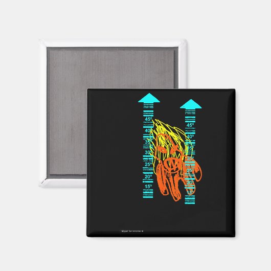 Hittegolf magneet (Voorkant / Achterkant)