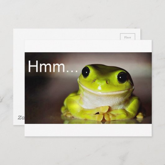 Hmm Frog Briefkaart (Voorkant / Achterkant)