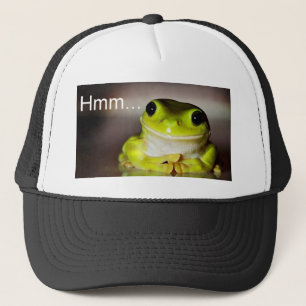 Hmm Frog Trucker Pet