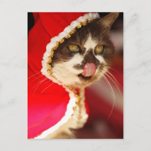 Hmm - Leuke kersttraktaties Feestdagenkaart
