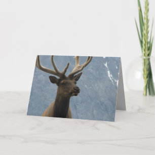 Hmmm, het lijkt erop dat je een verjaardag hebt di kaart