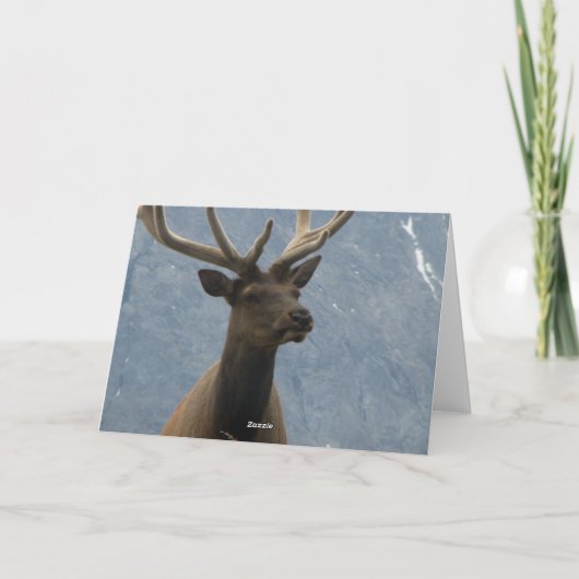 Hmmm, het lijkt erop dat je een verjaardag hebt. kaart (Achterkant)