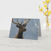 Hmmm, het lijkt erop dat je een verjaardag hebt. kaart (Gele Bloem)