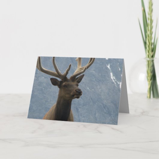 Hmmm, het lijkt erop dat je een verjaardag hebt. kaart (Voorkant)