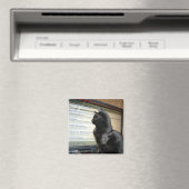 Hmmmmmm.... Magneet (Insitu (Vaatwasser))