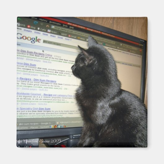 Hmmmmmm.... Magneet (Voorkant)