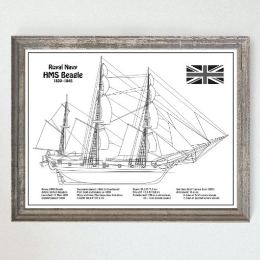 HMS Beagle Tall Ship - Blauwdruk voor schepen Poster