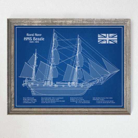 HMS Beagle Tall Ship - Scheepsblauwdruk ABD Poster